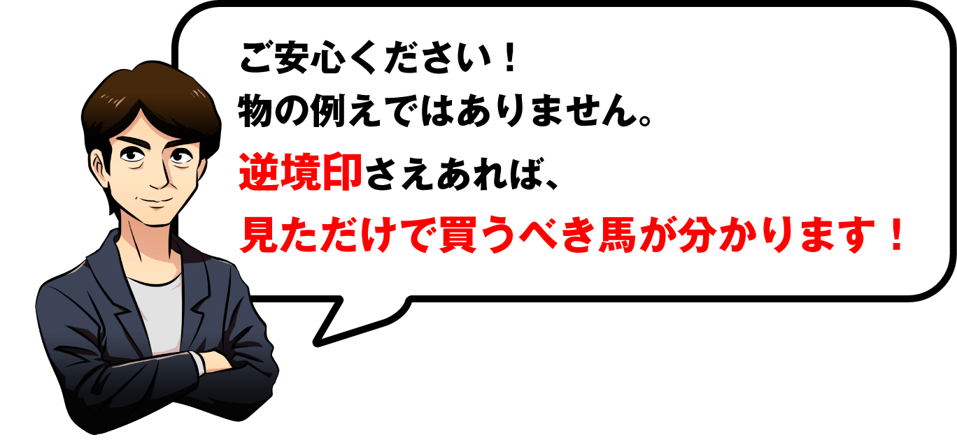 ど、どうするんですかスワケンさん！！