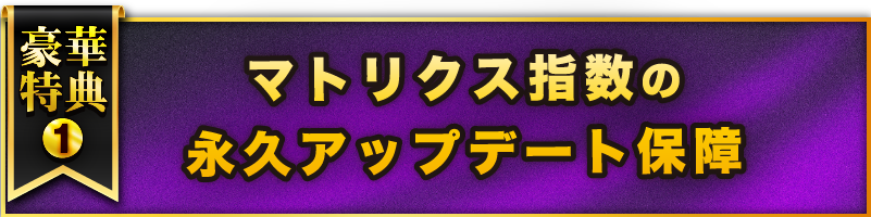豪華特典１ マトリクス指数の永久アップデート保障