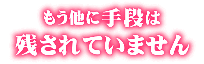 もうほかに手段は残されていません。