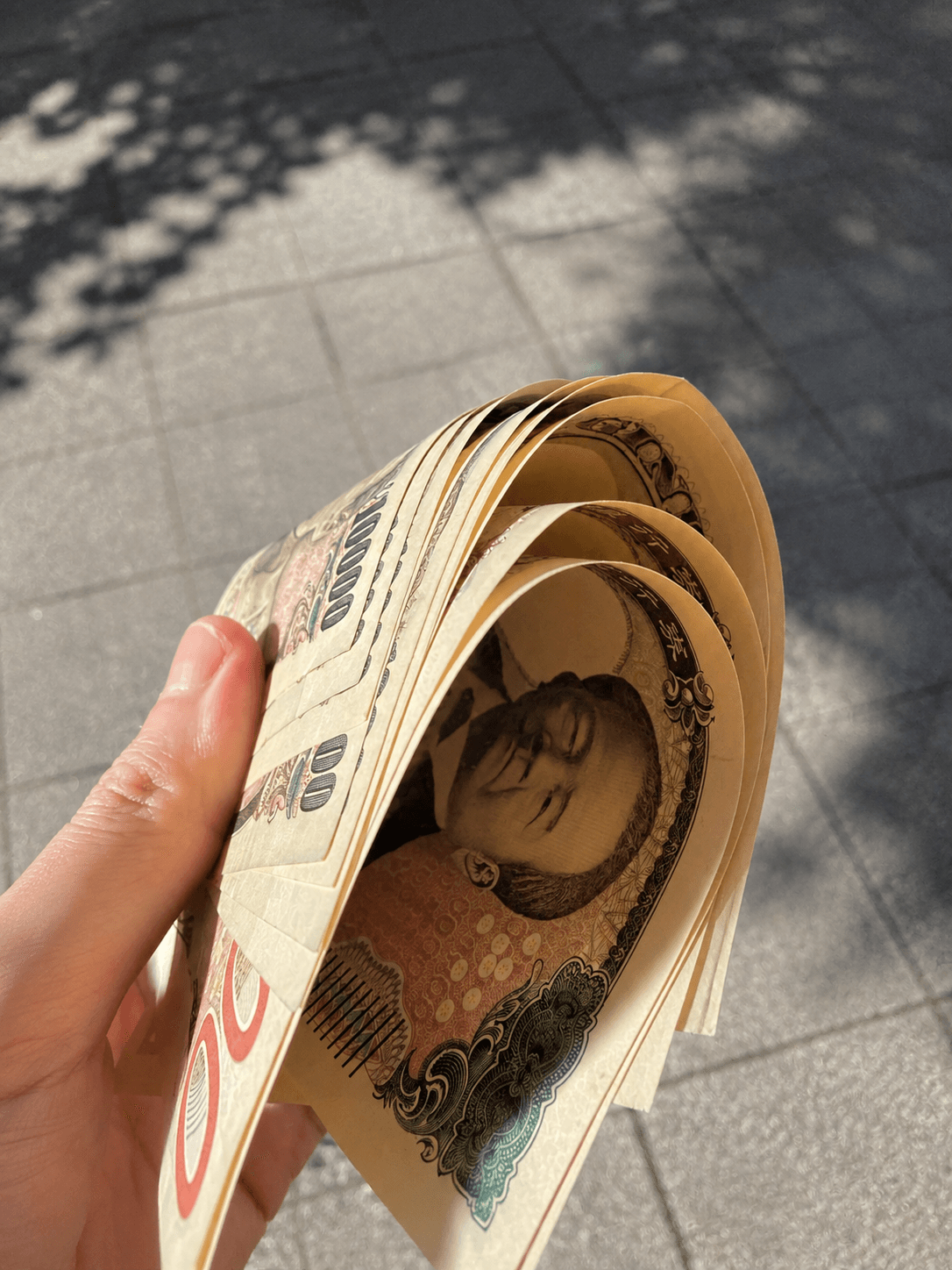 ユーザーからの画像